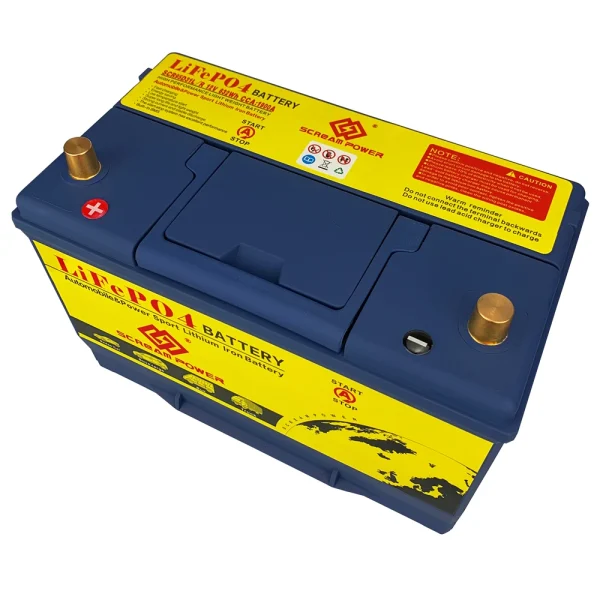 Batteria Auto LiFePO4 12V 100Ah 95D31L/R – Alta Qualità CCA1600A per Tutti i Tipi di Auto e Camper